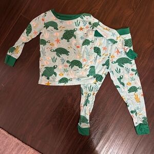Little Sleepies Green Turtle Kids Pajama Set